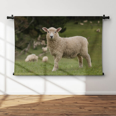 Vrolijk schaap