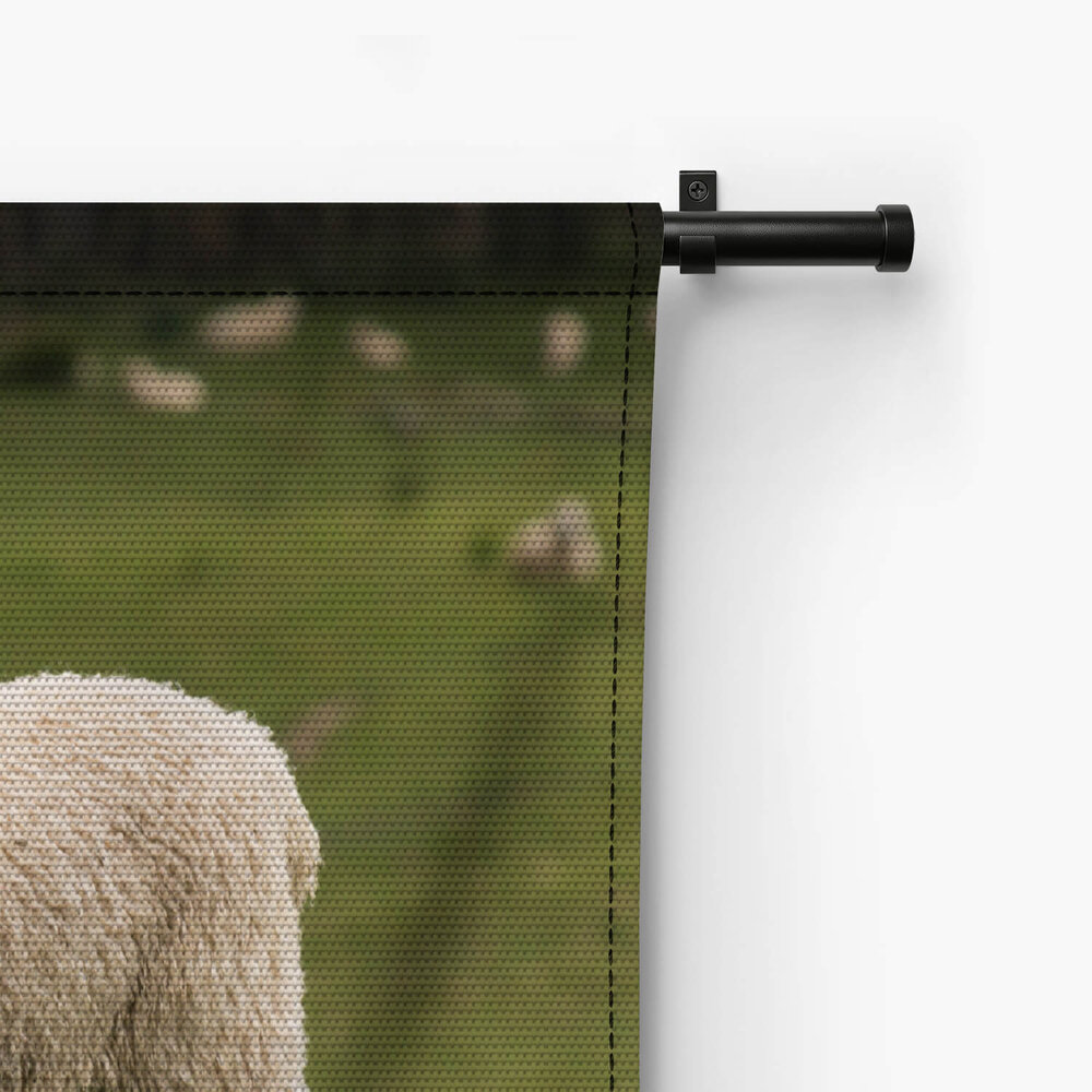Vrolijk schaap