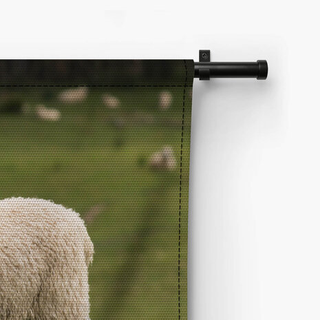 Vrolijk schaap