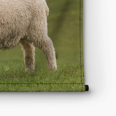 Vrolijk schaap