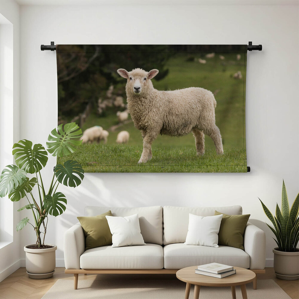 Vrolijk schaap