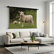 Vrolijk schaap