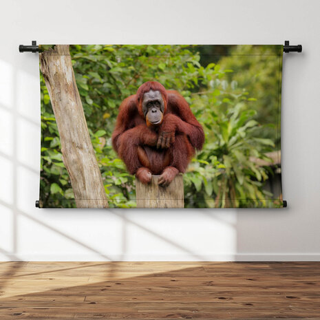 Orang-oetan zittend op boomstronk