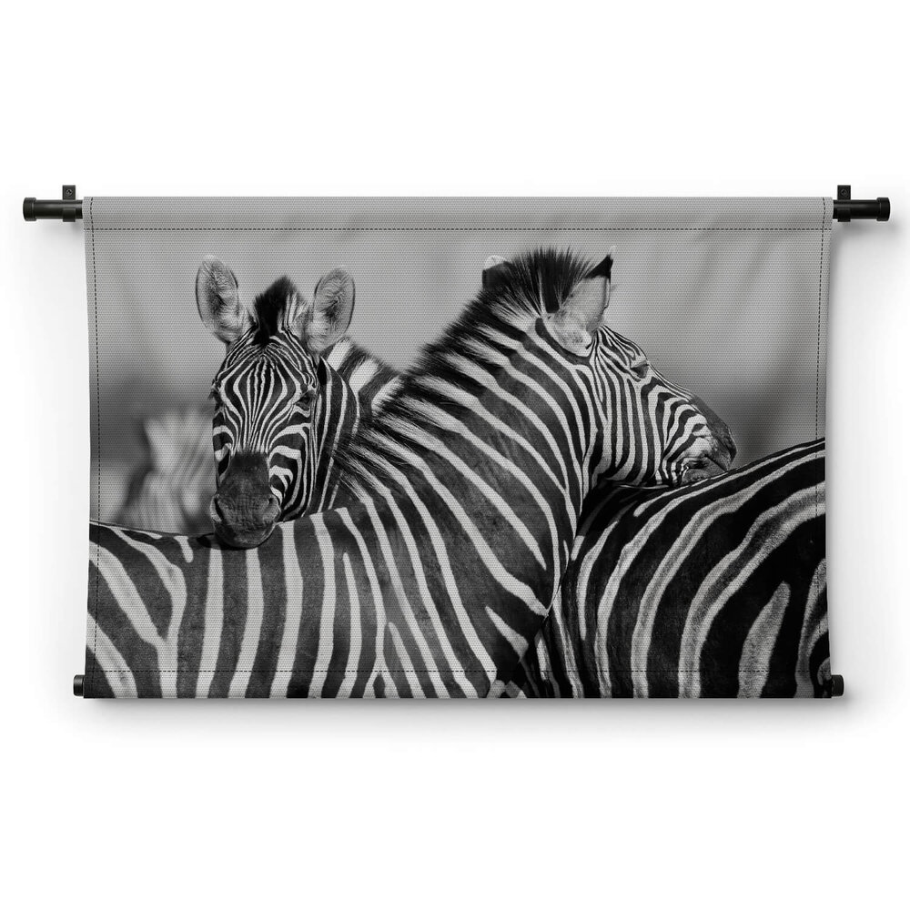 Zebra's samen bij elkaar in zwart-wit