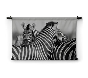 Zebra's samen bij elkaar in zwart-wit