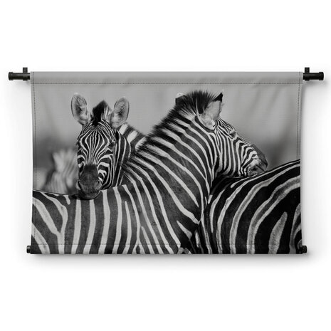 Zebra's samen bij elkaar in zwart-wit