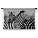 Zebra's samen bij elkaar in zwart-wit