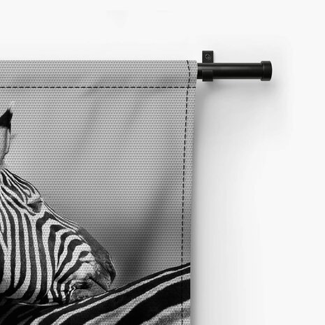 Zebra's samen bij elkaar in zwart-wit