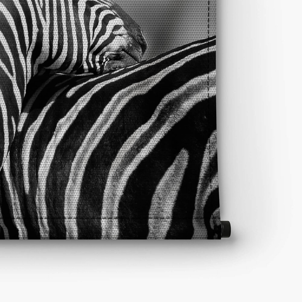 Zebra's samen bij elkaar in zwart-wit