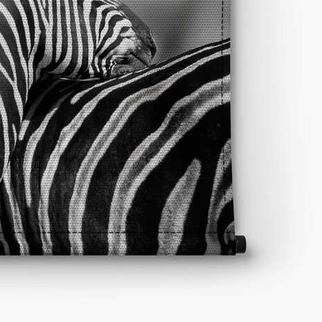 Zebra's samen bij elkaar in zwart-wit