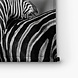 Zebra's samen bij elkaar in zwart-wit