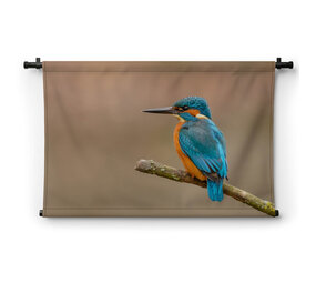 Luchtige ijsvogel op een tak