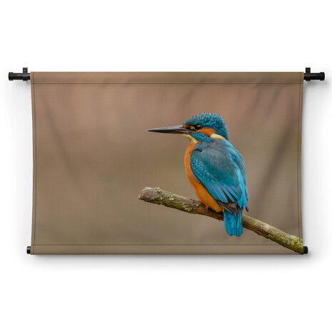 Luchtige ijsvogel op een tak