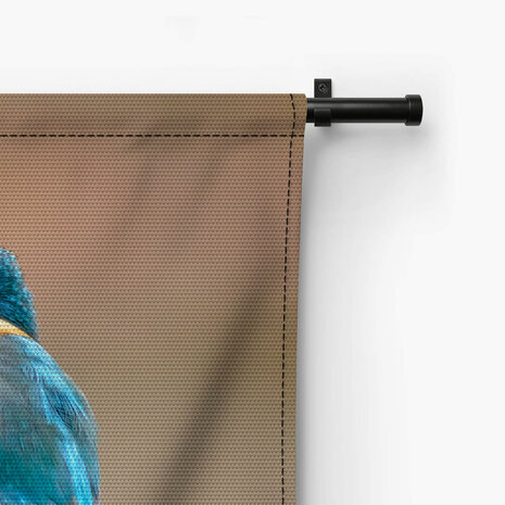 Luchtige ijsvogel op een tak