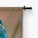 Luchtige ijsvogel op een tak