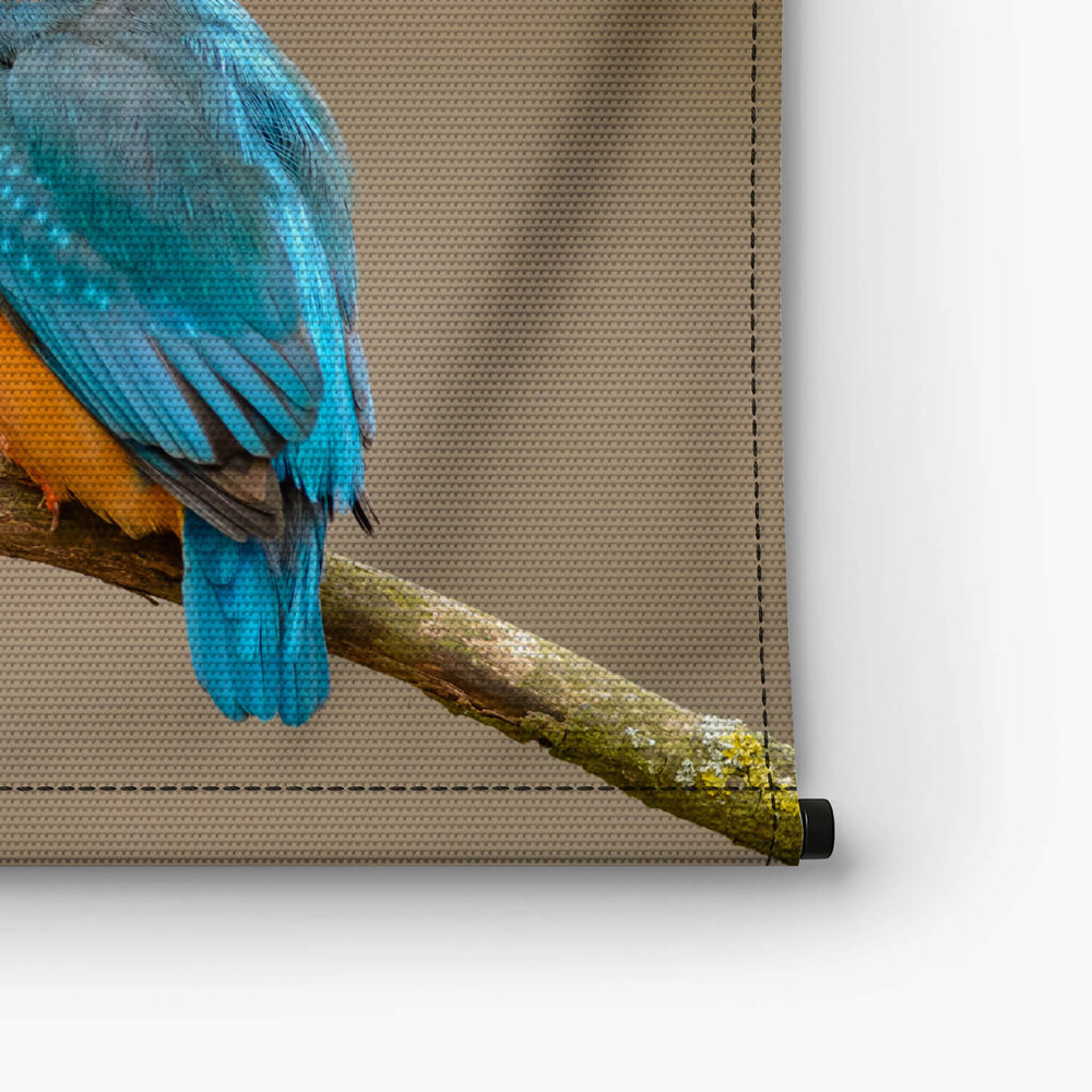 Luchtige ijsvogel op een tak