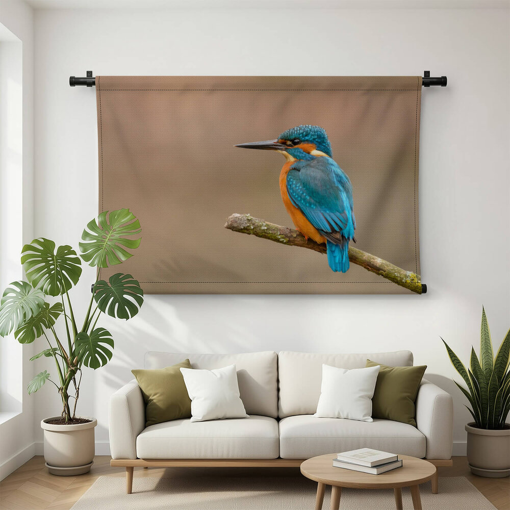 Luchtige ijsvogel op een tak