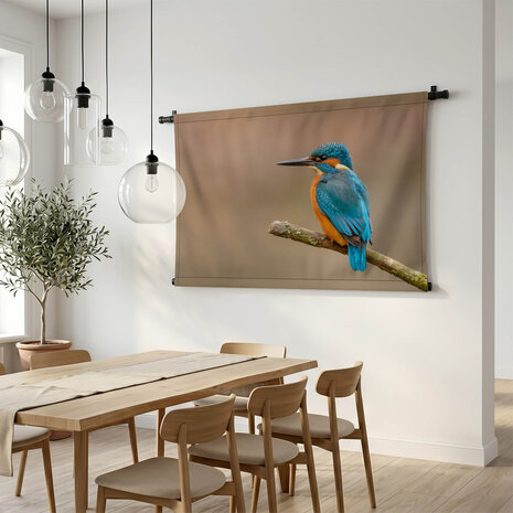 Luchtige ijsvogel op een tak