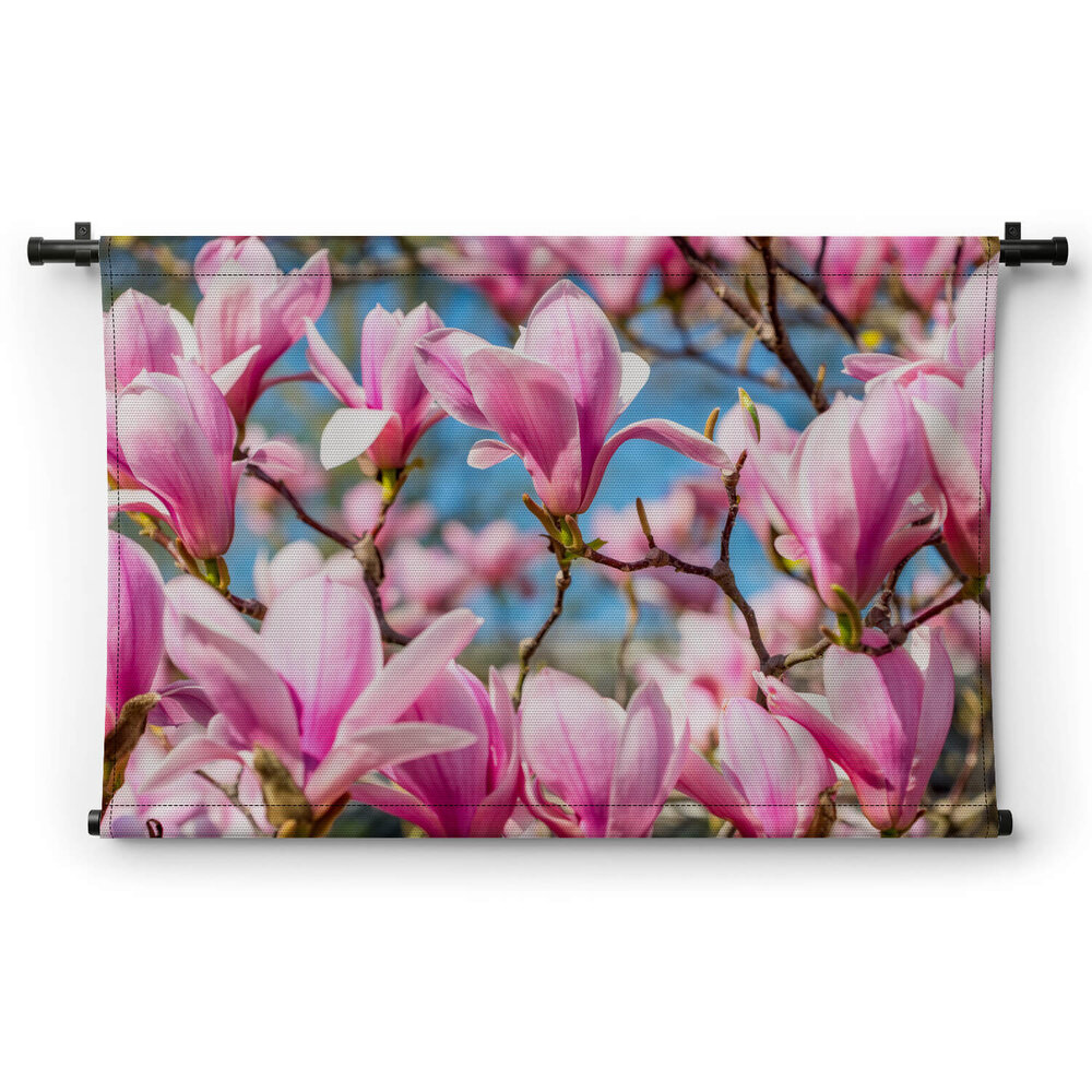 Magnolia tegen helder blauwe lucht