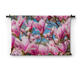 Magnolia tegen helder blauwe lucht