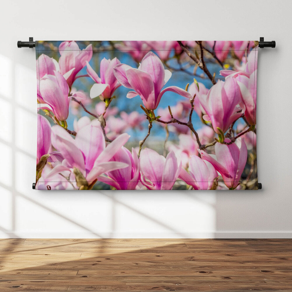 Magnolia tegen helder blauwe lucht