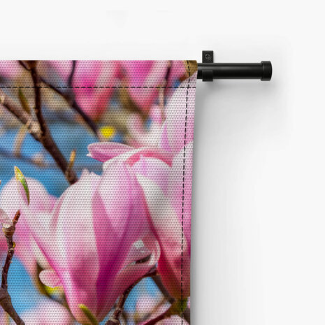 Magnolia tegen helder blauwe lucht