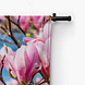 Magnolia tegen helder blauwe lucht