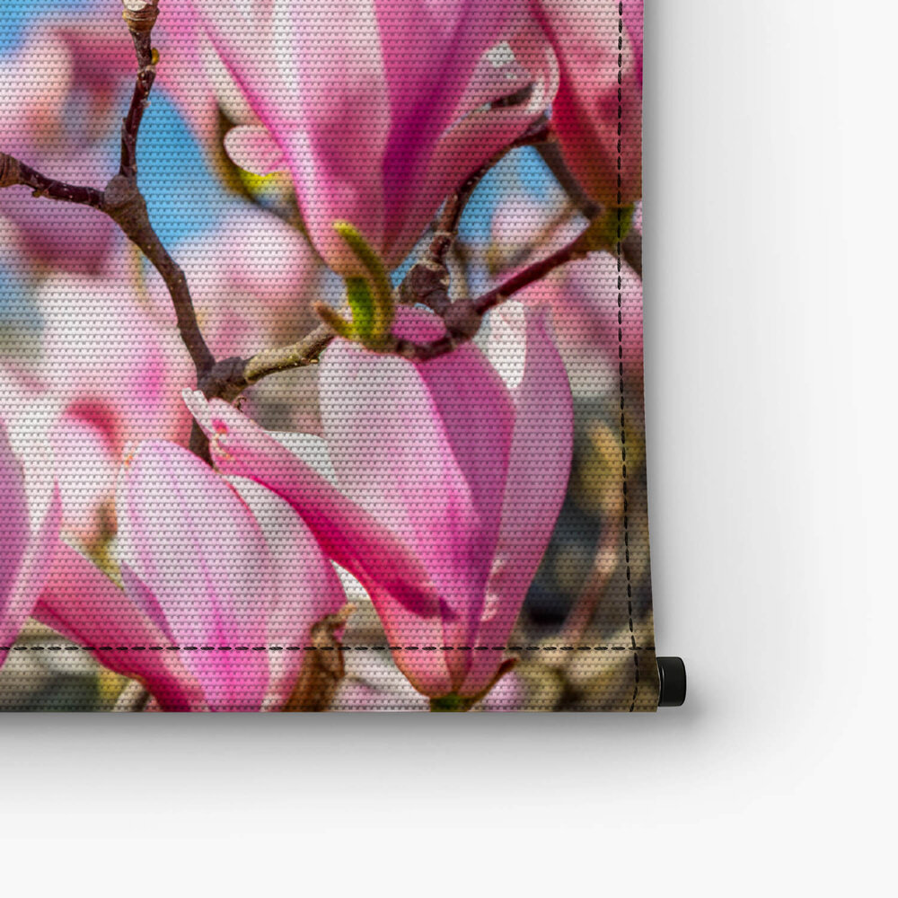 Magnolia tegen helder blauwe lucht