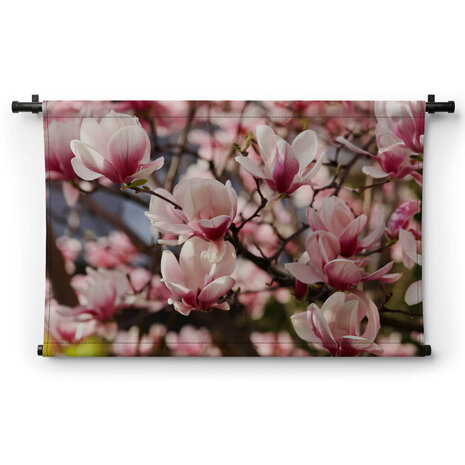 Takken met frisse roze magnoliabloemen