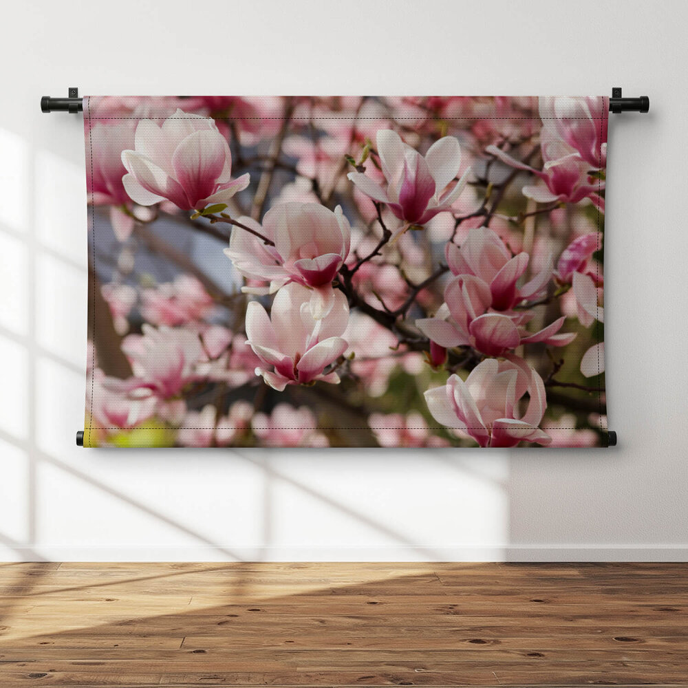 Takken met frisse roze magnoliabloemen