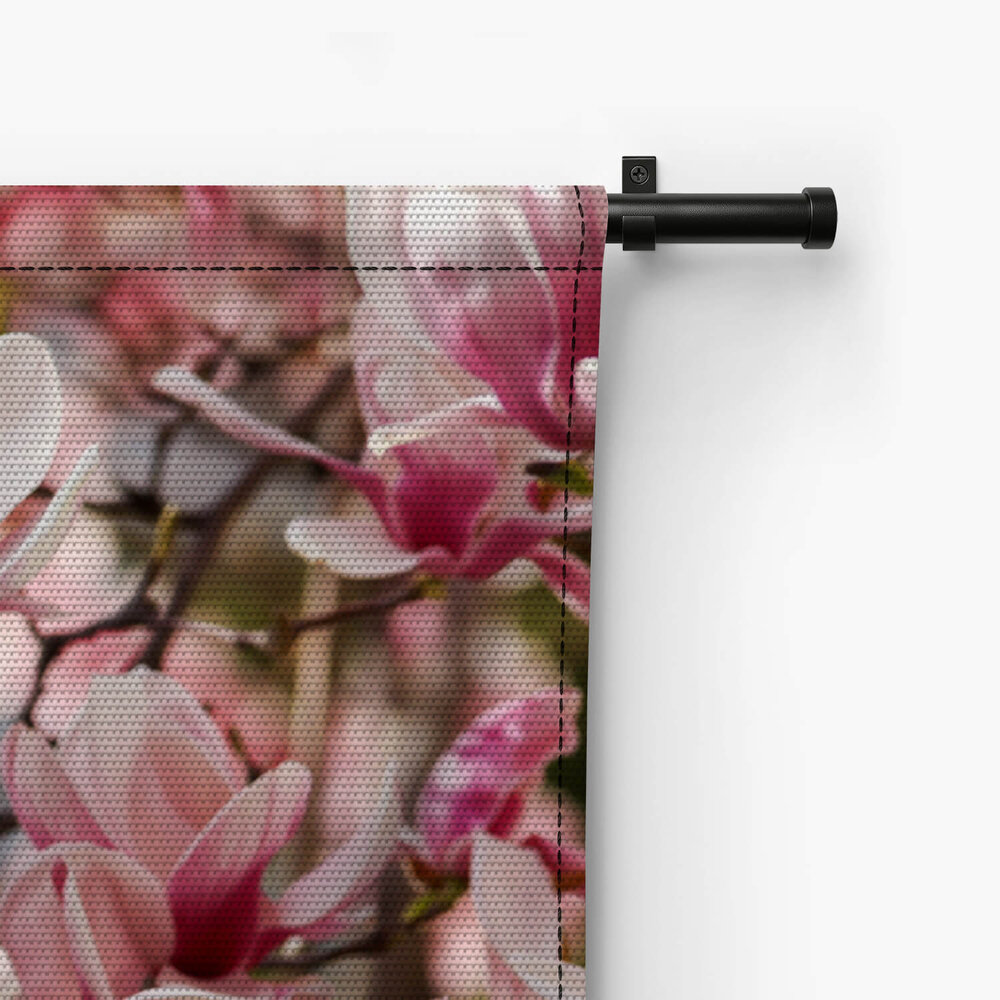 Takken met frisse roze magnoliabloemen
