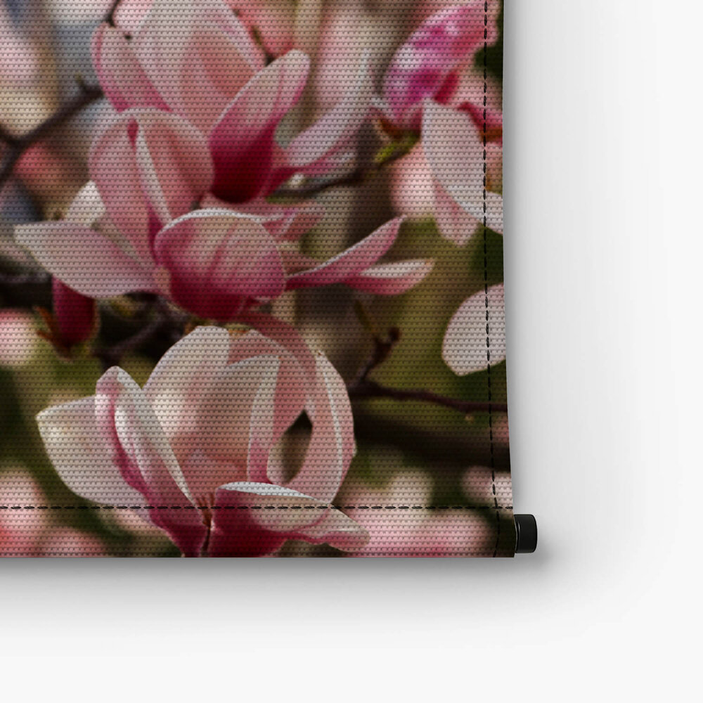 Takken met frisse roze magnoliabloemen