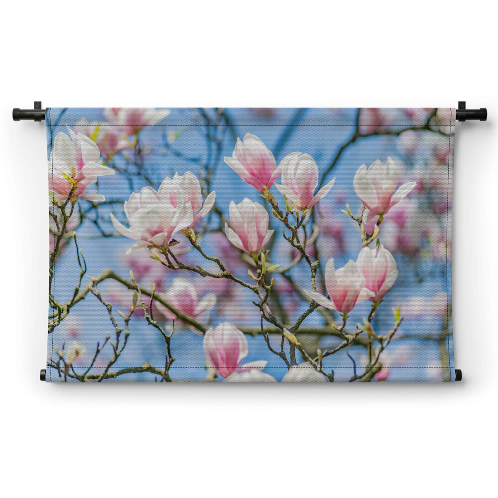 Blauwe luchten met magnolia