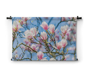 Blauwe luchten met magnolia