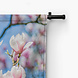 Blauwe luchten met magnolia