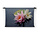 Mooie roze en witte waterleliebloemen