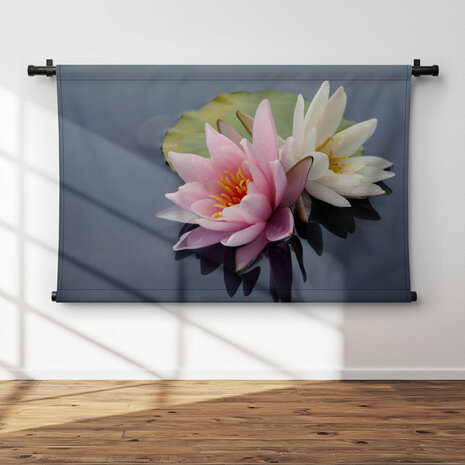 Mooie roze en witte waterleliebloemen