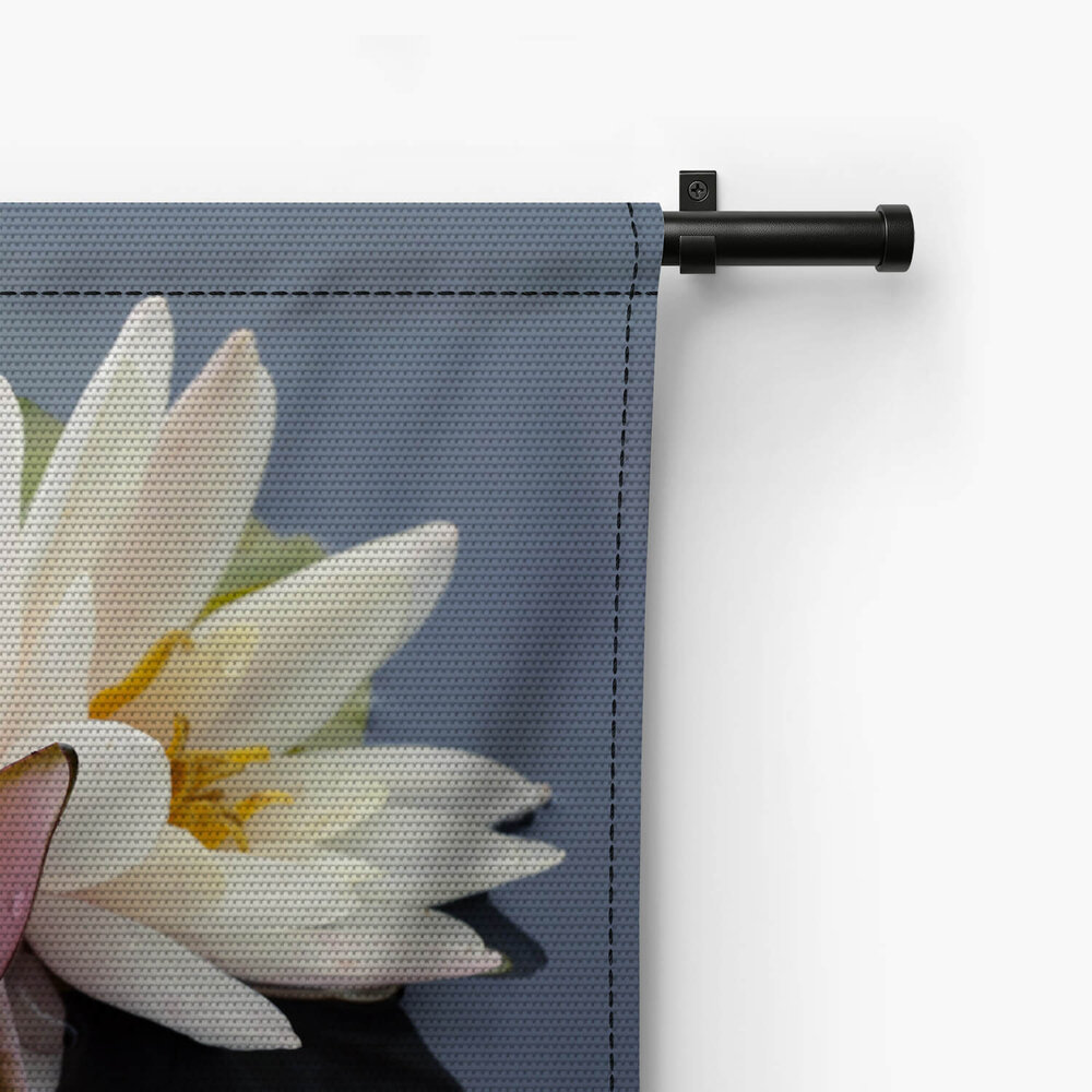 Mooie roze en witte waterleliebloemen