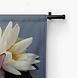 Mooie roze en witte waterleliebloemen