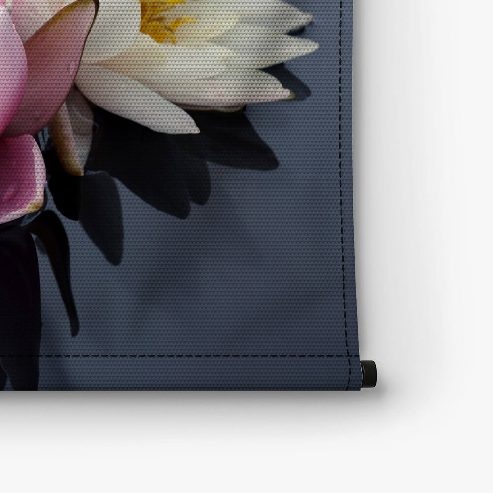 Mooie roze en witte waterleliebloemen
