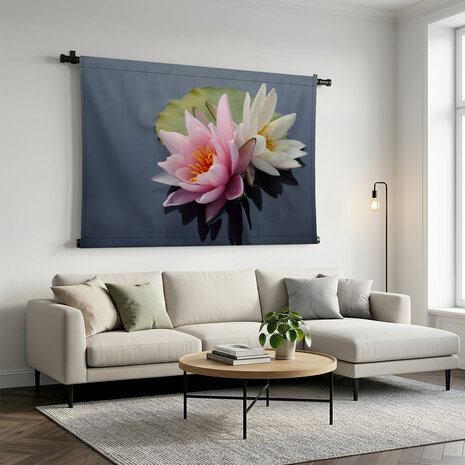 Mooie roze en witte waterleliebloemen