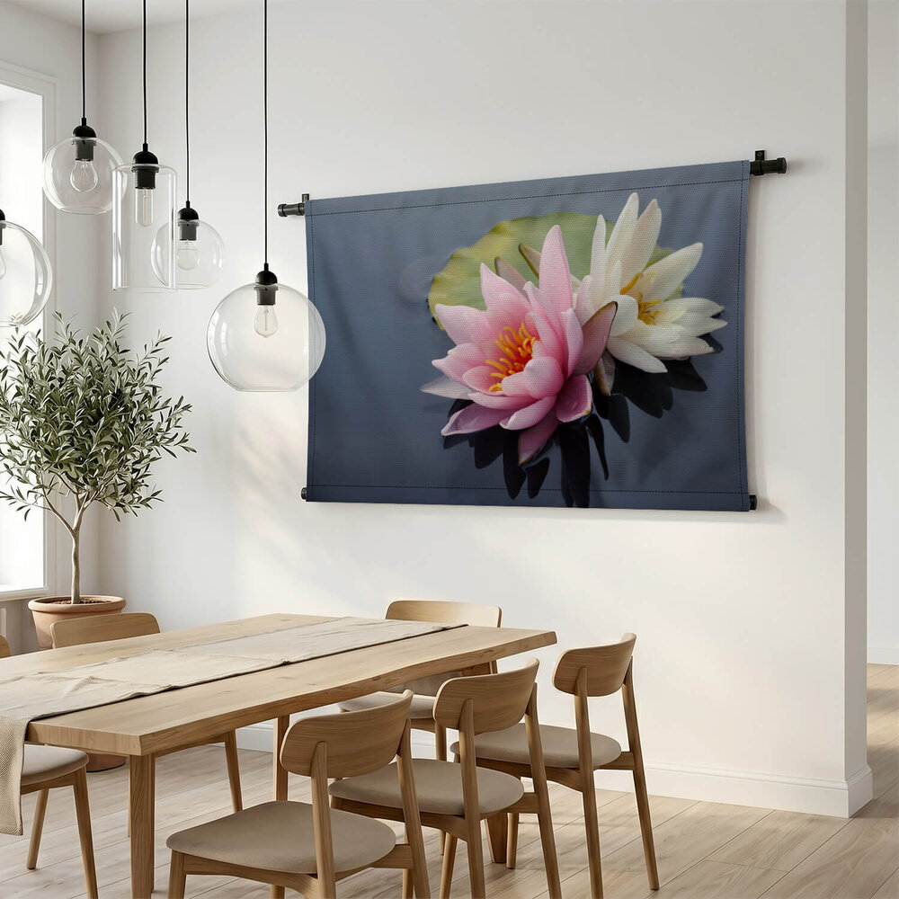 Mooie roze en witte waterleliebloemen