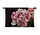 Panorama roze pioenrozen