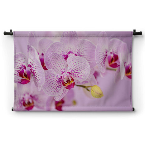 Frisse roze orchidee