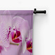 Frisse roze orchidee