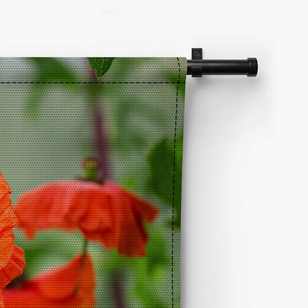 Klaprozen in de tuin