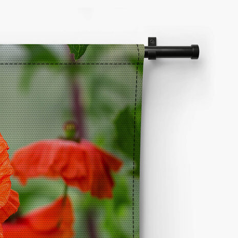Klaprozen in de tuin