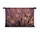 Paardenbloemzaad close-up