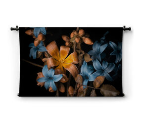 Oranje en blauwe bloemen