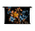 Oranje en blauwe bloemen